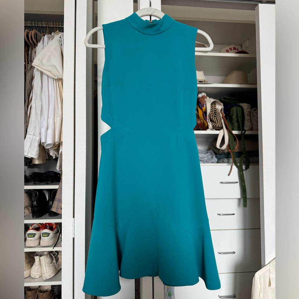 Ted Baker Dress